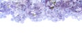 Border of lilac flowers. Bouquet of purple flowers is isolated on white background. View from above, flat lay concept.