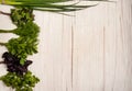 The border is made of Basil, dill, parsley, cilantro and green onions on a light wooden background. Royalty Free Stock Photo