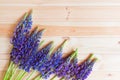 Border made of blue lupine flowers on wooden background. Royalty Free Stock Photo