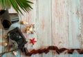 The border is made of green leaves of tropical plants, an old camera, film, shells and stars on a light blue wooden background. Royalty Free Stock Photo