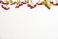 The border is made of hawthorn branches with red berries on a white background.