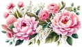 Border pink roses peonies flowers and green leaves, vector illustration on a white background Royalty Free Stock Photo