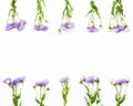 Border made of violet flowers on white background. Flat lay