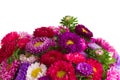 Border of mixed aster flowers Royalty Free Stock Photo