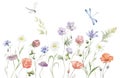Border with multicolor Wildflowers. Summer Illustration.