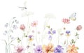 Border with multicolor Wildflowers. Summer Illustration.