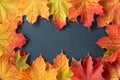 Border of orange and yellow maple leaves on a gray slate tile, as a fall nature background Royalty Free Stock Photo