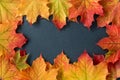 Border of orange and yellow maple leaves on a gray slate tile, as a fall nature background Royalty Free Stock Photo