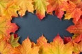 Border of orange and yellow maple leaves on a gray slate tile, as a fall nature background Royalty Free Stock Photo