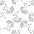 vector seamless pattern of leaves and berries of the medicinal tree ginkgo biloba. hand-drawn sketch-style black outline Royalty Free Stock Photo