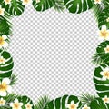 Border Palm Trees And Plumeria Royalty Free Stock Photo