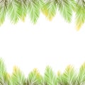 Border of palms branches on isolated on white background. Realistic tree palms. Vector Royalty Free Stock Photo