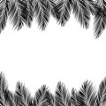 Border of palms branches on isolated on white background. Realistic tree palms. Vector Royalty Free Stock Photo