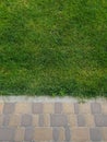 Border of a park area and city sidewalk or green grass and paving stones of a footpath
