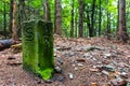 Border post in a forest Royalty Free Stock Photo