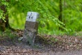 Border post in the forest. A place where the borders of forest divisions cross Royalty Free Stock Photo