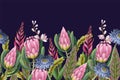 Border with proteas flowers. Trendy floral vector print. Royalty Free Stock Photo