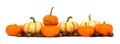Border of pumpkins with leaves and nuts isolated on white Royalty Free Stock Photo