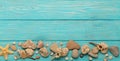 Border with rope, stones, sea shells and starfish on a turquoise Royalty Free Stock Photo
