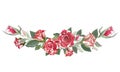 Vector watercolor red roses. Vintage floral elements. Royalty Free Stock Photo