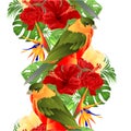Border seamless backgroun tropical bird cute small funny bird and red hibiscus and Strelitzia reginae monstera palm watercolor s