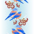 Border seamless background birds thrush Bluebirds songbirdons on on snowy tree rowan and berry winter background vintage