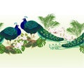 Border seamless background peacock beauty exotic bird and tropical flowers watercolor vintage vector illustration editable Royalty Free Stock Photo