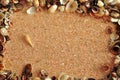 Border with seashells with a sand background