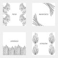 4 border seaweed sketch Royalty Free Stock Photo