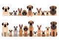 Border set of black muzzle dogs Royalty Free Stock Photo