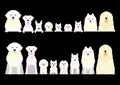 Border set of white dogs Royalty Free Stock Photo