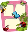 Border template with many insects