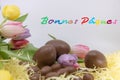 Border with text Happy Easter, very colorful graphic resource Bonnes PÃÂ¢ques is Happy Easter written in French