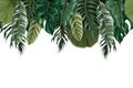 Border with tropical leaves such as monstera, palm leaf and other. Vector Royalty Free Stock Photo