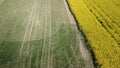 Border of two fields. Blooming yellow rapeseed and cereal sprouts. Aerial photography Royalty Free Stock Photo