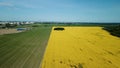 Border of two fields. Blooming yellow rapeseed and cereal sprouts. Aerial photography Royalty Free Stock Photo