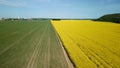 Border of two fields. Blooming yellow rapeseed and cereal sprouts. A city is visible on the horizon. Aerial photography Royalty Free Stock Photo