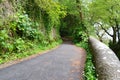 A bordered Narrow Country Road Bordered by Stone