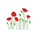 Borders Flowers.Red field vector flowers silchouette.Floral background.