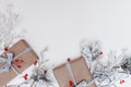 Winter flat lay with natural branches. leaves and presents on light background