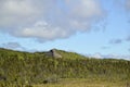 Boreal forest landscape with rocky hill on horizon along Newfoundland highway Royalty Free Stock Photo