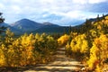 Boreas Pass In Autumn Royalty Free Stock Photo