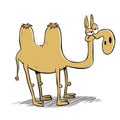 Bored brown camel with two hunchbacks