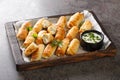 Borek sigara boregi fried pastry wrapped in cheese in phyllo closeup on the wooden board. Horizontal