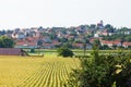 Boretice as beauty Moravia landscape