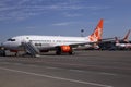 Maintenance of the UR-SQB SkyUp Airlines Boeing 737-800 aircraft on the parking area of the Borispol International Airport