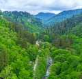 The Borjomi Gorge