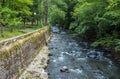 Borjomula River in Borjomi