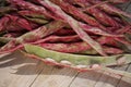 Borlotti beans Royalty Free Stock Photo