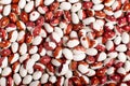 Borlotti beans background, beans with red specks, pinto beans. Royalty Free Stock Photo